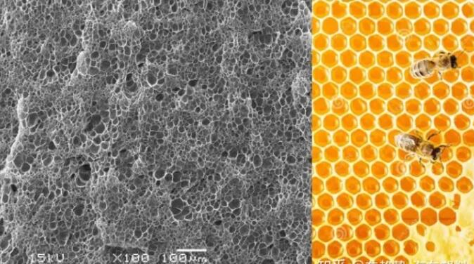 epp發泡聚丙烯的顯微結構，可以看(kàn)到這是種連續閉孔結構，類似于蜂窩